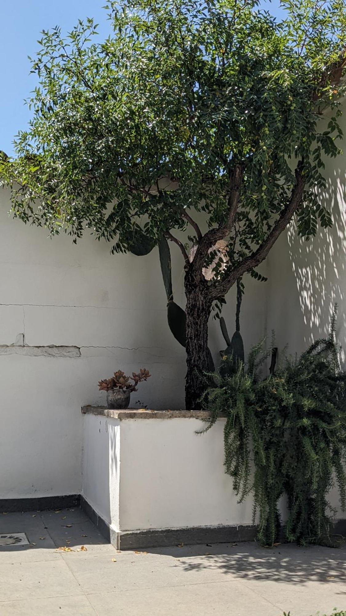 Apartamento The Cosy Nest Pignataro Maggiore Exterior foto